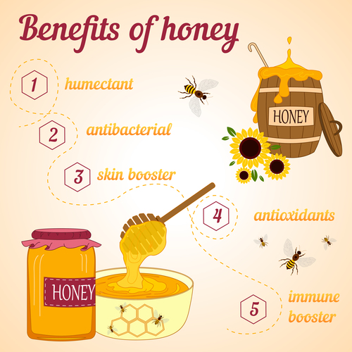 Benefits of honey illustrator vector