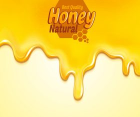 Best quality honey natural vector