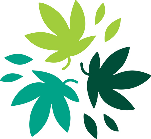 Cannabis leaf logo vector