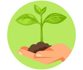Caring for seedlings illustration vector