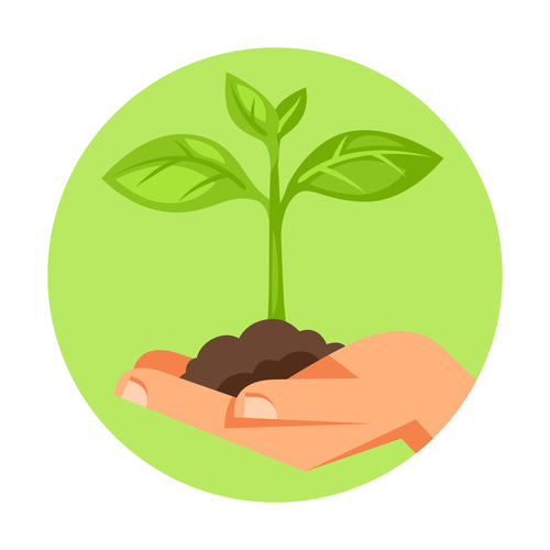 Caring for seedlings illustration vector