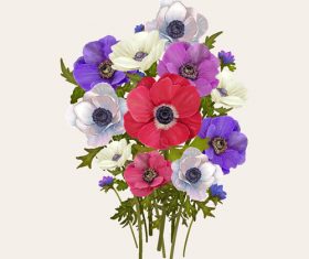 Colorful flowers watercolor background vector