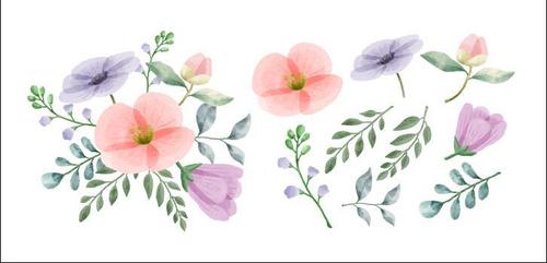 Different colored flowers and leaves watercolors vector