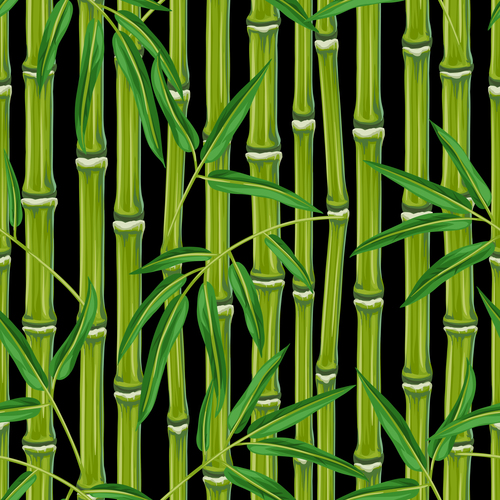 Emerald bamboo watercolor painting vector