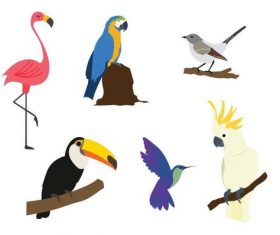 Exotic tropical birds vector