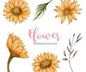 Flower watercolor collection vector