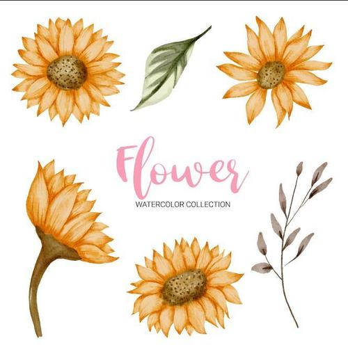 Flower watercolor collection vector