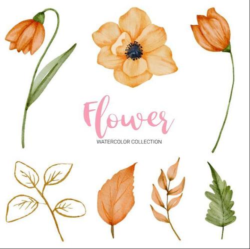 Flowers and green leaves watercolor collection vector
