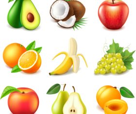 Fruits icons realistic vector