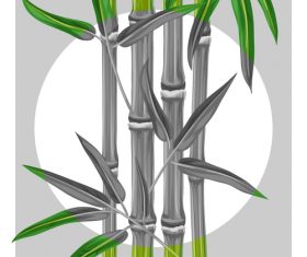 Gray bamboo in vector
