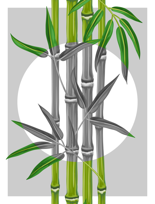Gray bamboo in vector