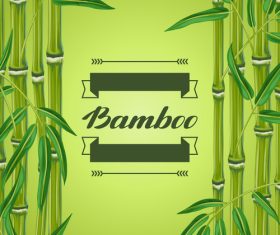 Green bamboo background frame vector