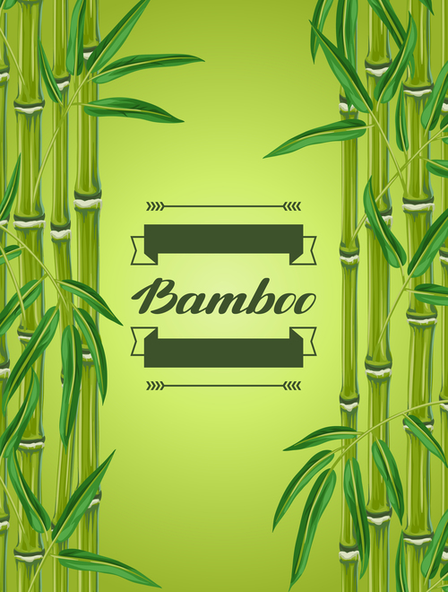 Green bamboo background frame vector