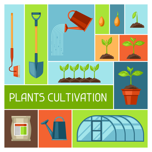 Greenhouse cultivation vector