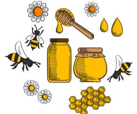 Hand drawn bee and honey background vector