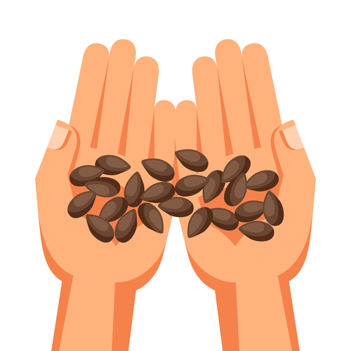 Hand holding seed illustration vector