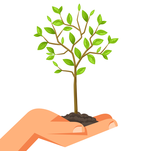 Hand with sapling vector