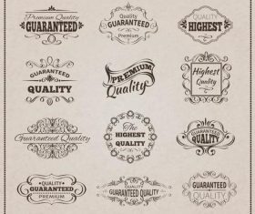 Highest quality label vector