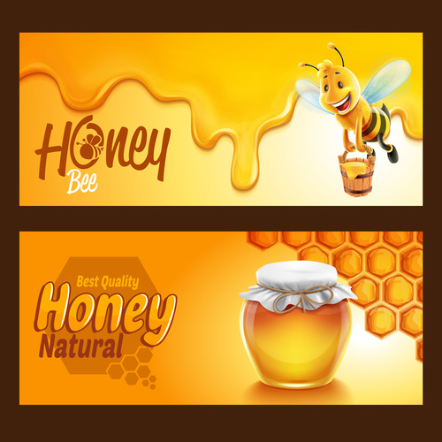 Honey frame vector