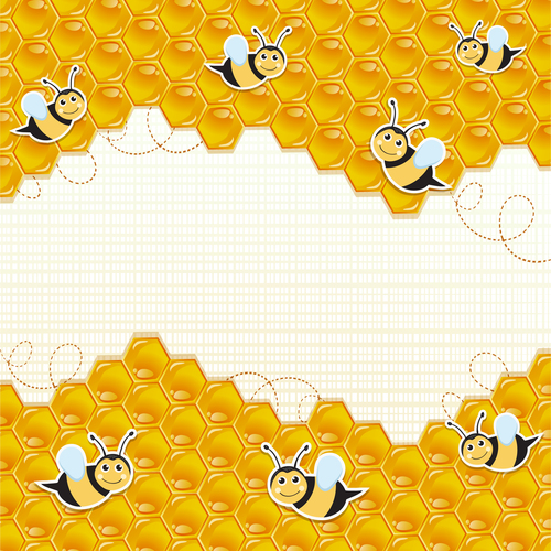 Honeycomb and bee background vector