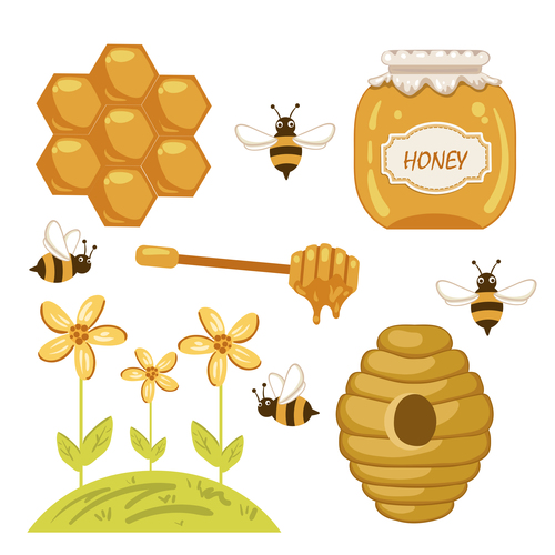 How to get honey illustration background vector