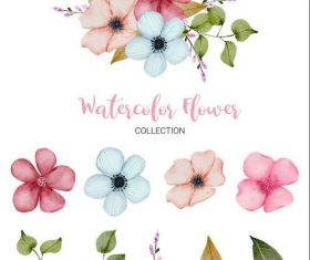 Leaves and flowers watercolor collection vector