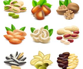 Nuts icons realistic vector set
