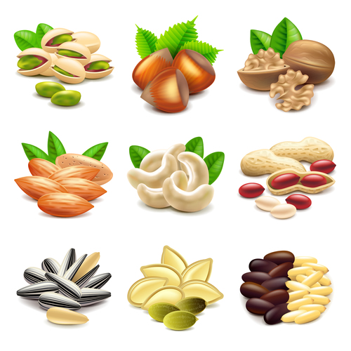 Nuts icons realistic vector set