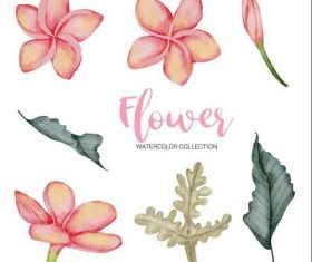 Painting watercolor flower collection vector