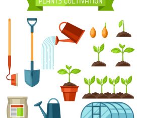 Plants cultivation vector
