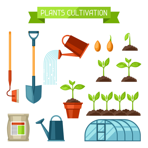 Plants cultivation vector