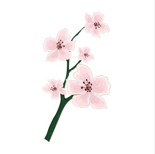 Plum blossom watercolor painting vector