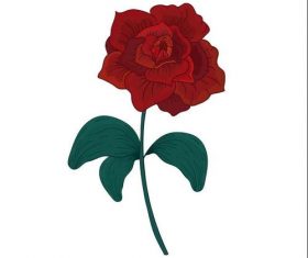 Red rose watercolor painting vector
