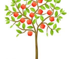 Ripe fruit vector