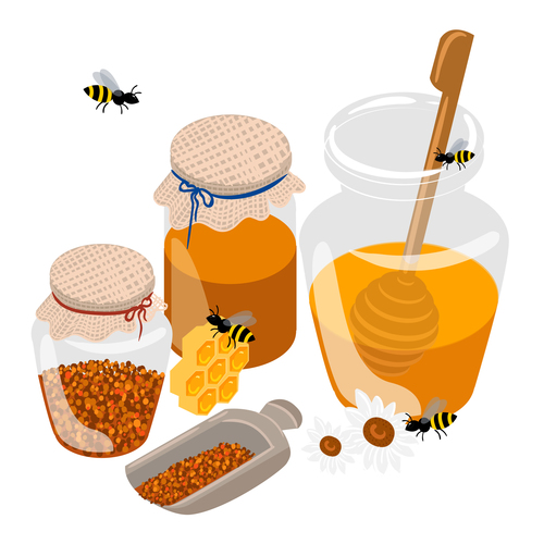 Seed and honey background vector