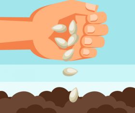 Seeding illustration vector