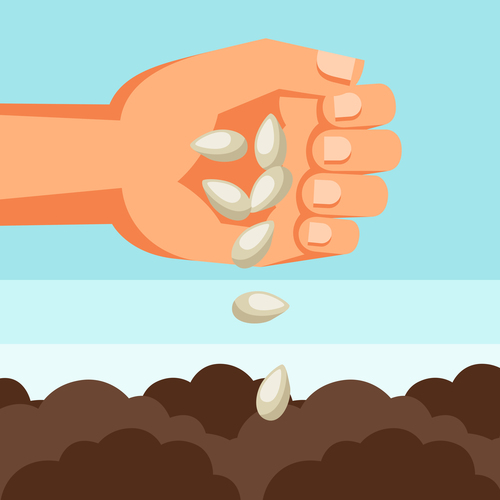 Seeding illustration vector