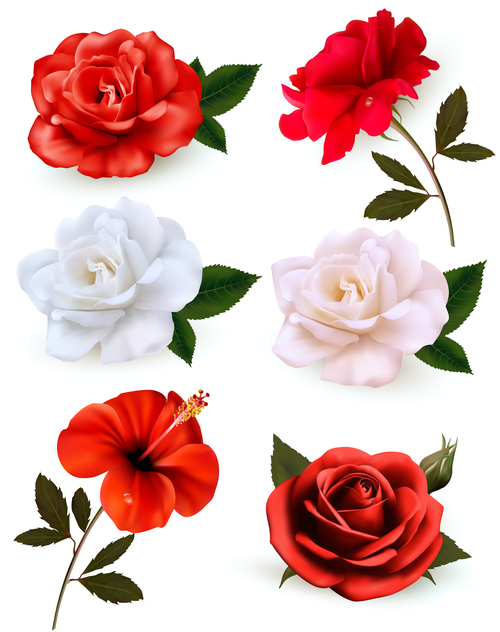 Set of colorful flowers vector