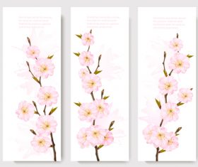 Three spring banners with pink sakura vector