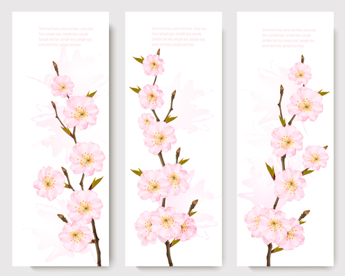 Three spring banners with pink sakura vector