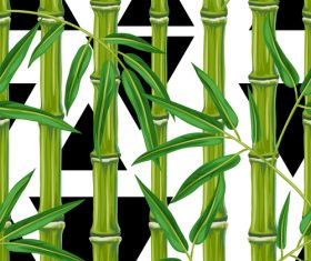 Triangle background bamboo watercolor painting vector