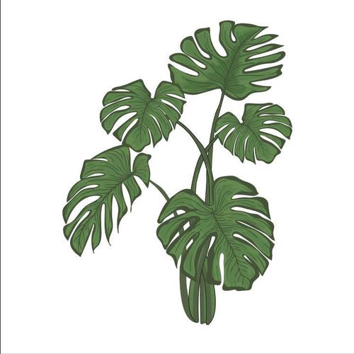 Tropical plants watercolor painting vector