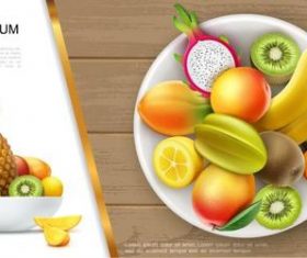 Various fresh fruit flyer vector