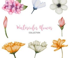 Watercolor flower collection vector