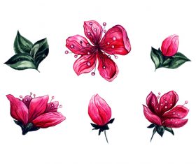 Watercolor flowers vector