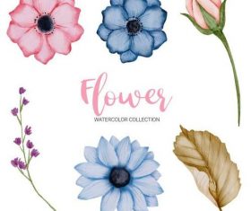 Watercolor technique flower collection vector