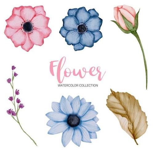 Watercolor technique flower collection vector