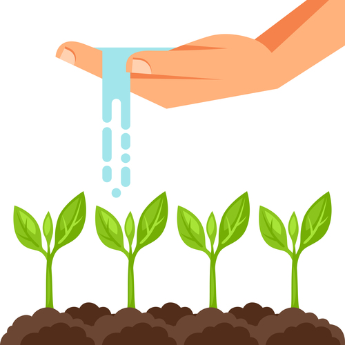 Watering seedlings illustration vector