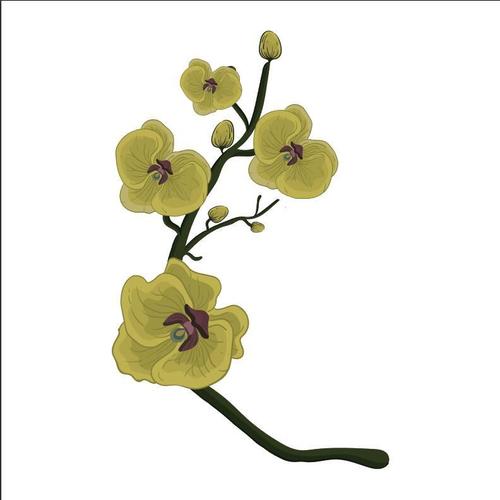 Yellow flower illustration vector