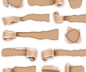 All kinds of ripped paper background vector